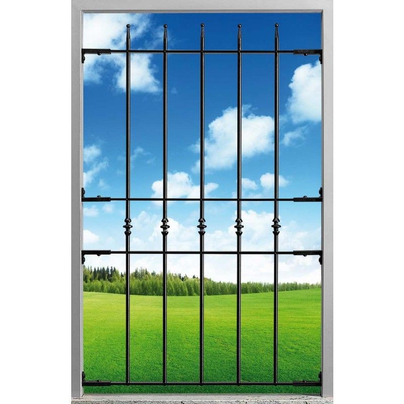 View through a window with bars showing a grassy field and blue sky with clouds in the background.